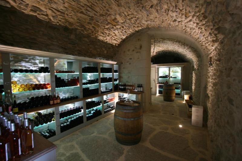 Chateau Les Oliviers De Salettes Charols Exterior foto
